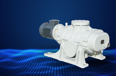 Roots vacuum pump