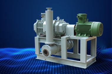 Screw vacuum pump